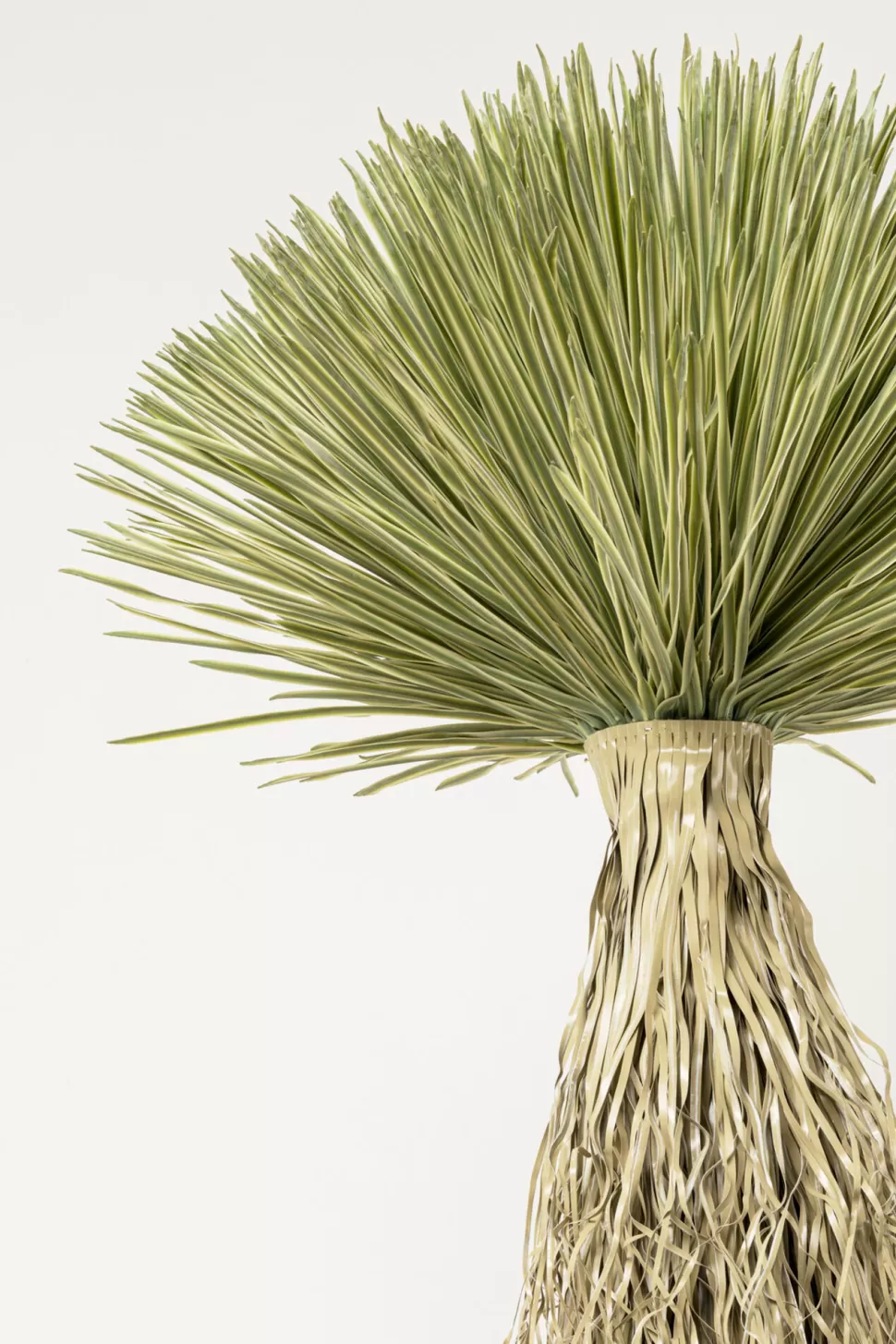 KARE Design Deco Plant Yucca Rostrata 240cm Shop
