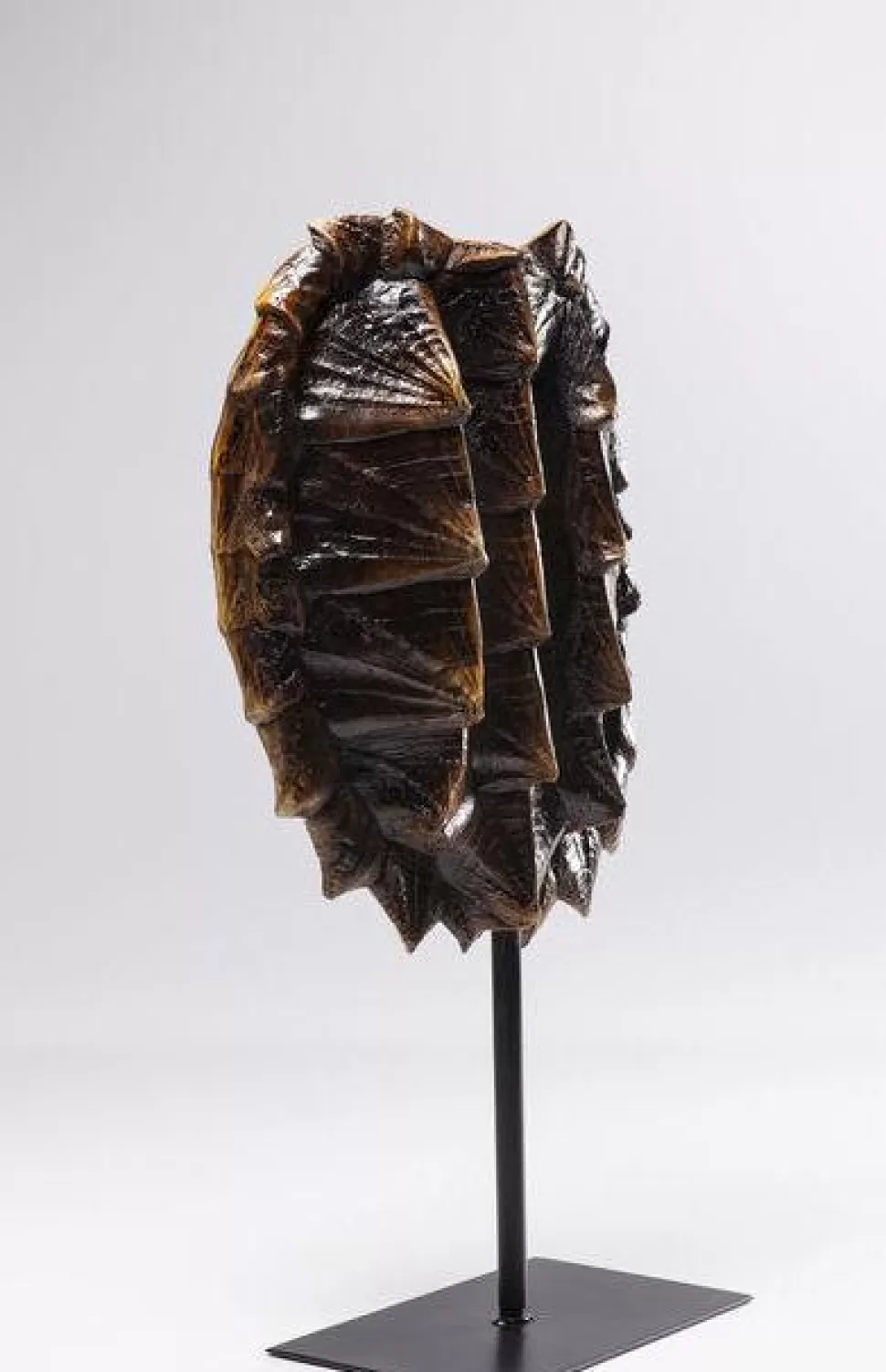 KARE Design Decofiguur Schildpad 53cm Online