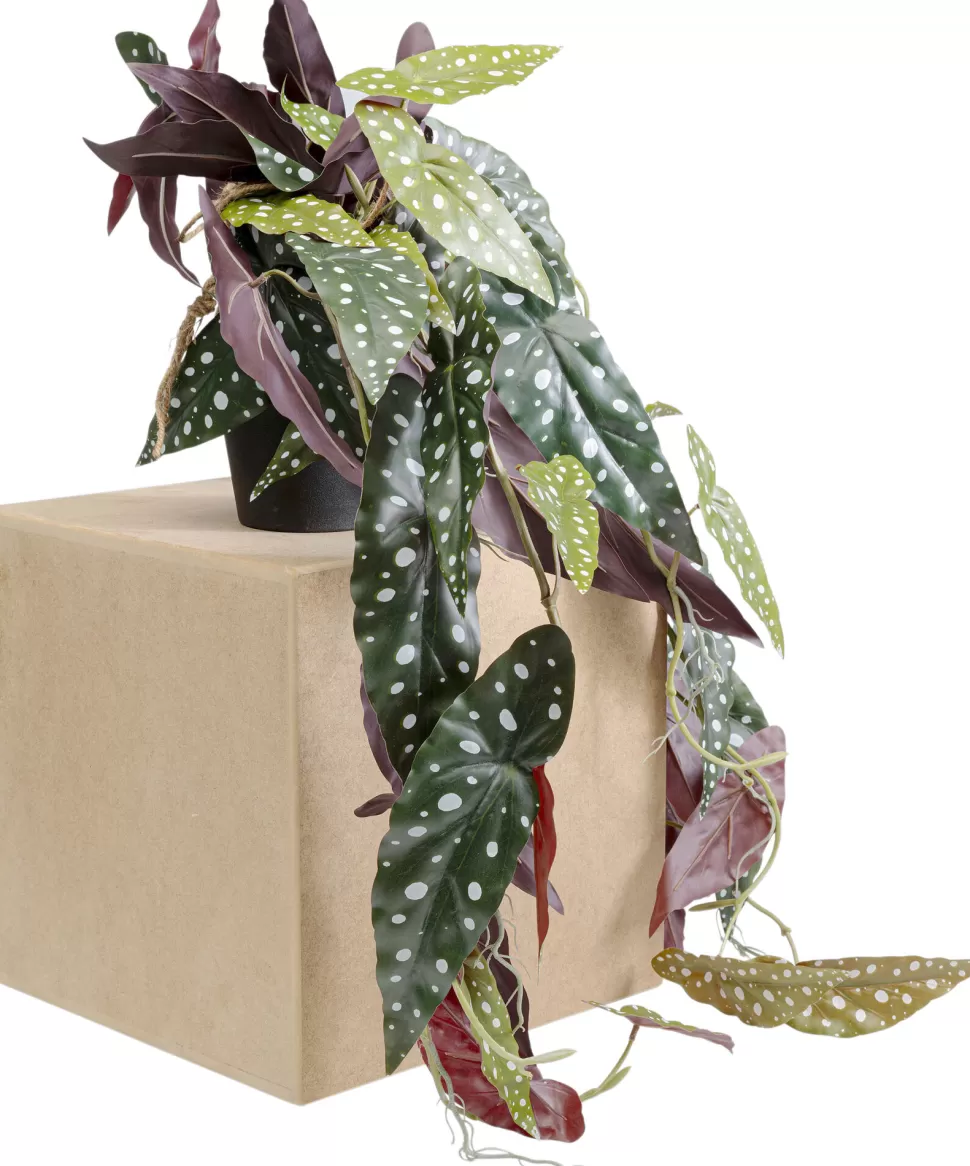 KARE Design Decoplant Begonia 45cm Sale