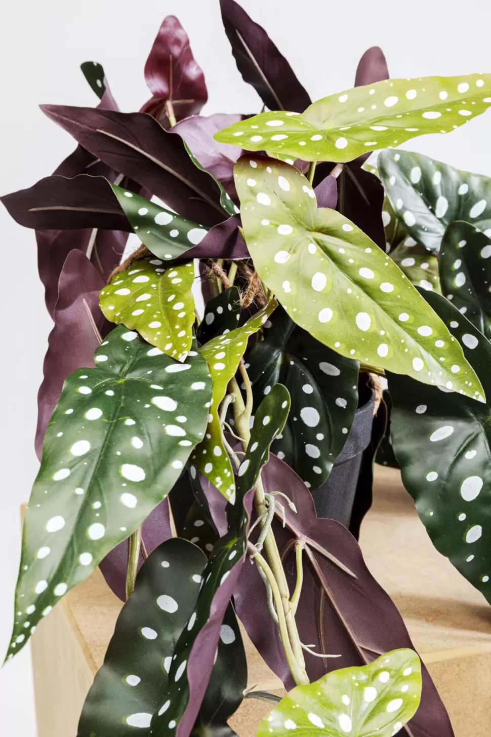 KARE Design Decoplant Begonia 45cm Sale