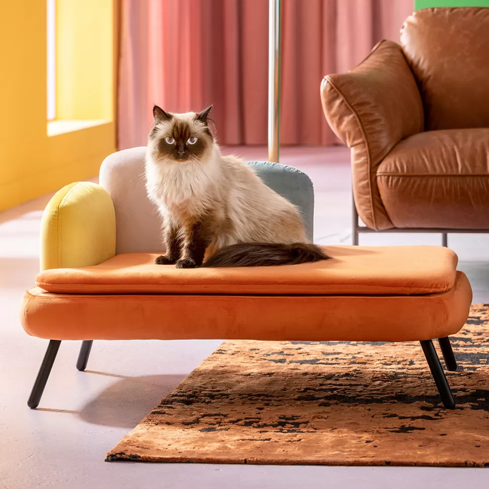 KARE Design Dierenbed Diva Orange Store
