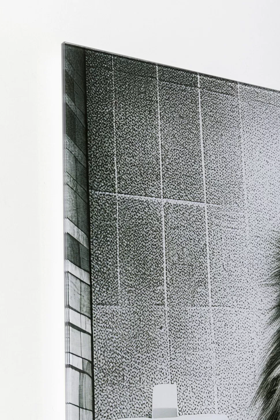 KARE Design Glasschilderij Bath Lion 60x80cm Clearance
