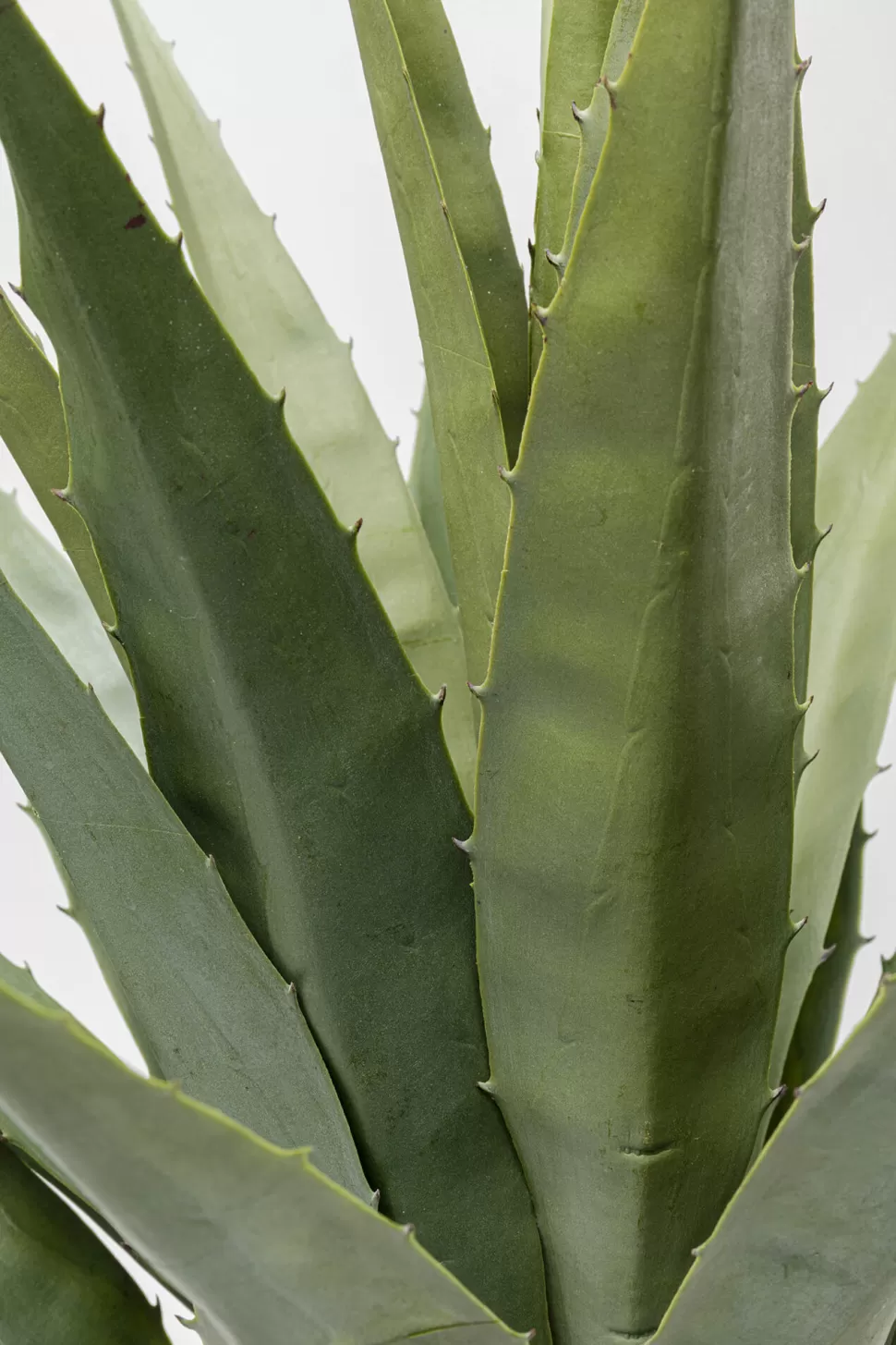KARE Design Kunstplant Agave 85cm Fashion