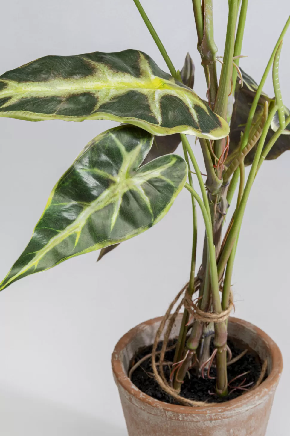 KARE Design Kunstplant Alocasia 80cm Best Sale
