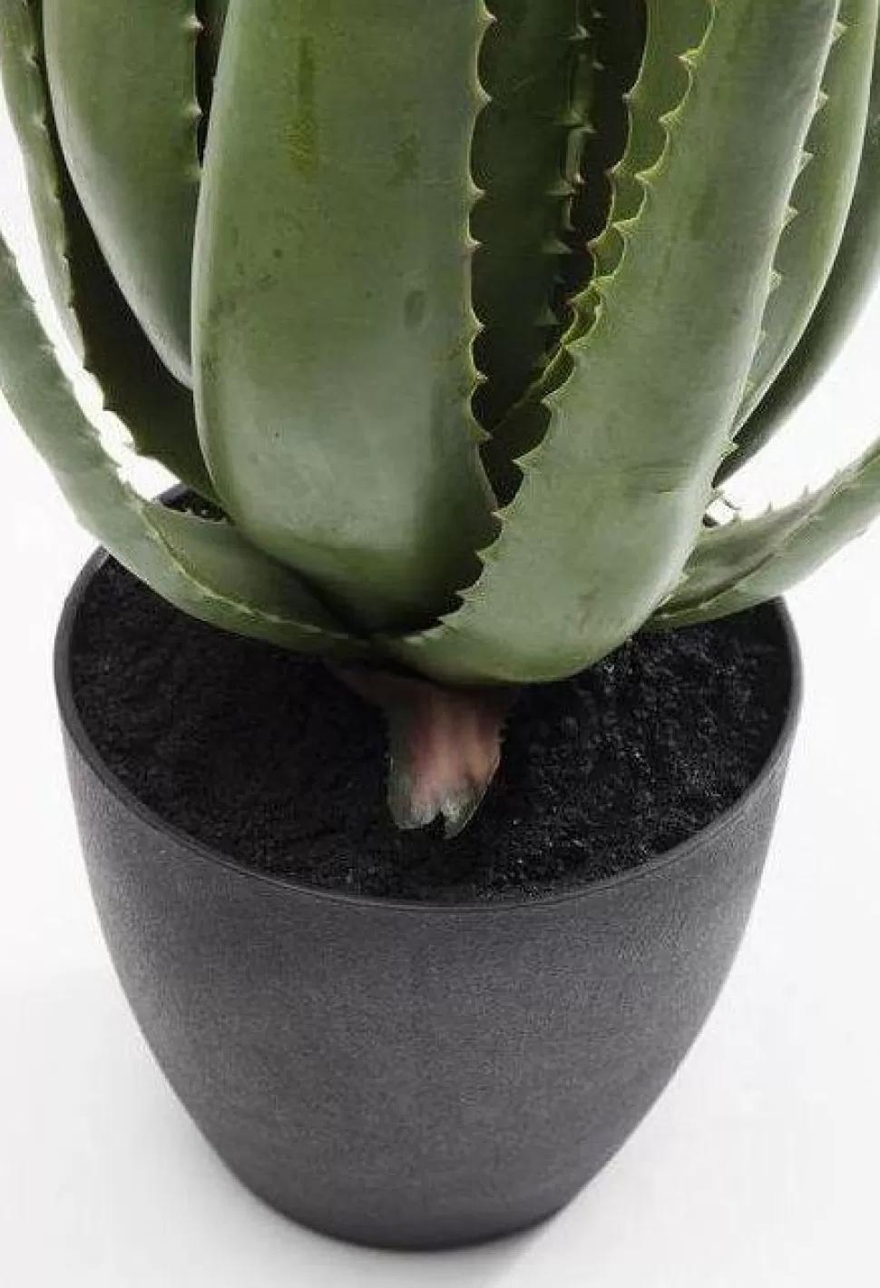KARE Design Kunstplant Aloe 69cm New