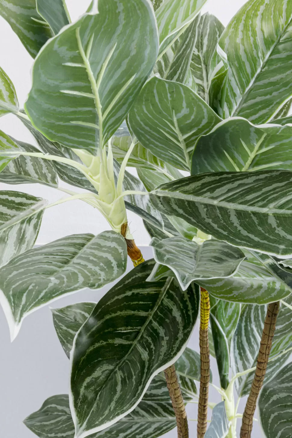KARE Design Kunstplant Calathea 140cm Online