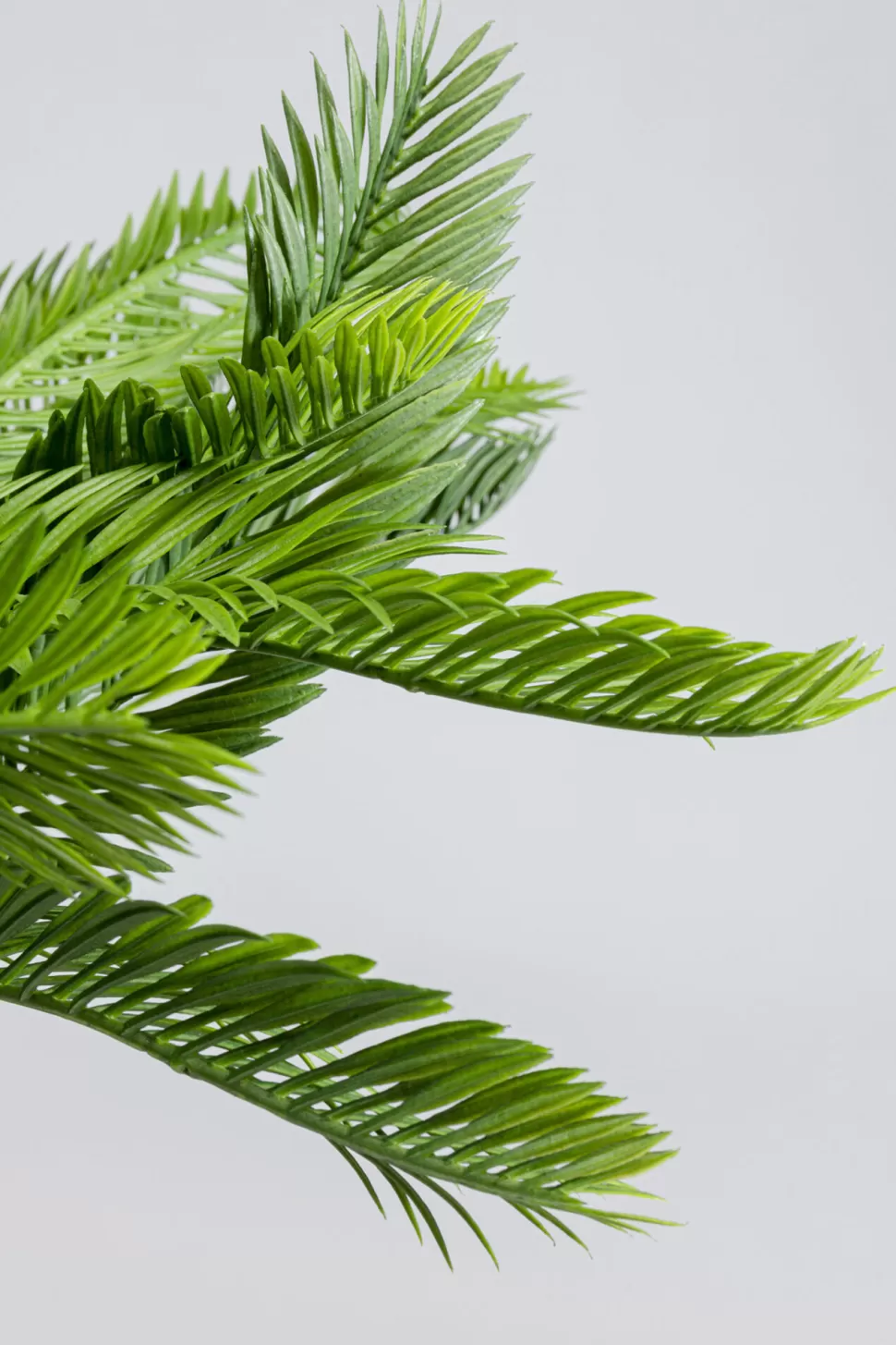 KARE Design Kunstplant Cycas 70cm Best