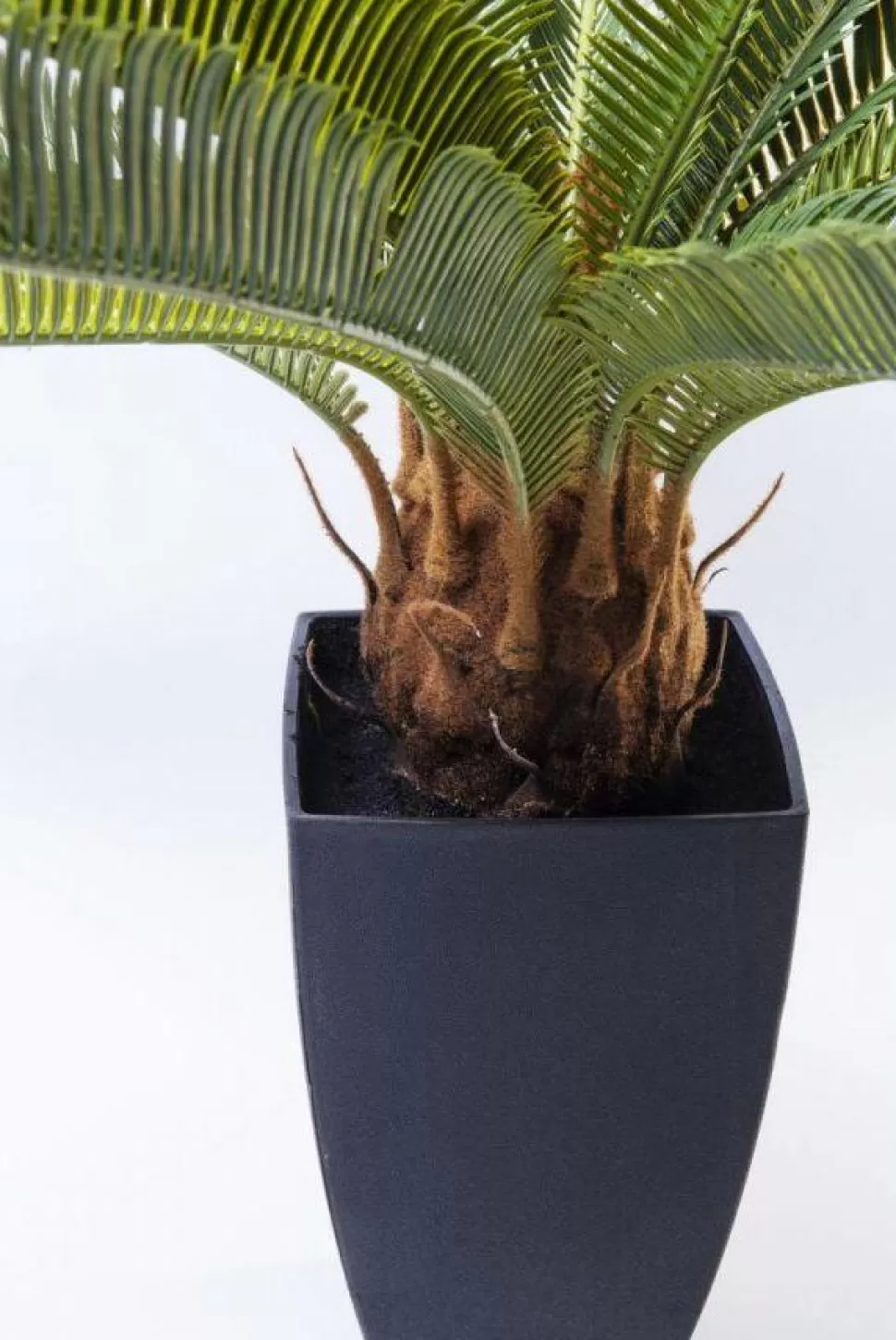 KARE Design Kunstplant Cycas Boom 78cm Online
