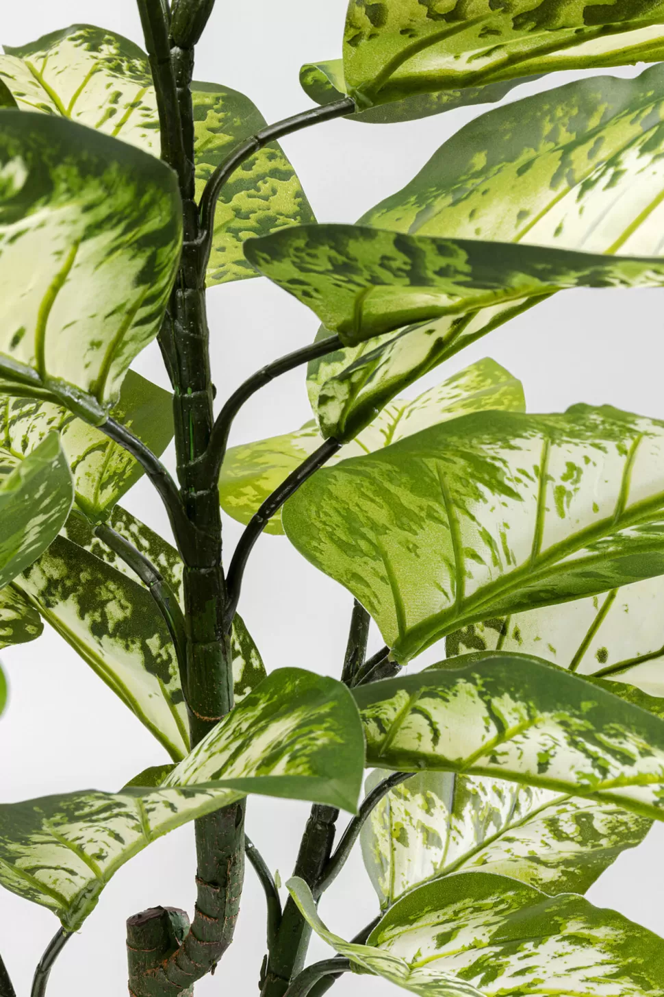 KARE Design Kunstplant Dieffenbachie 100cm Discount