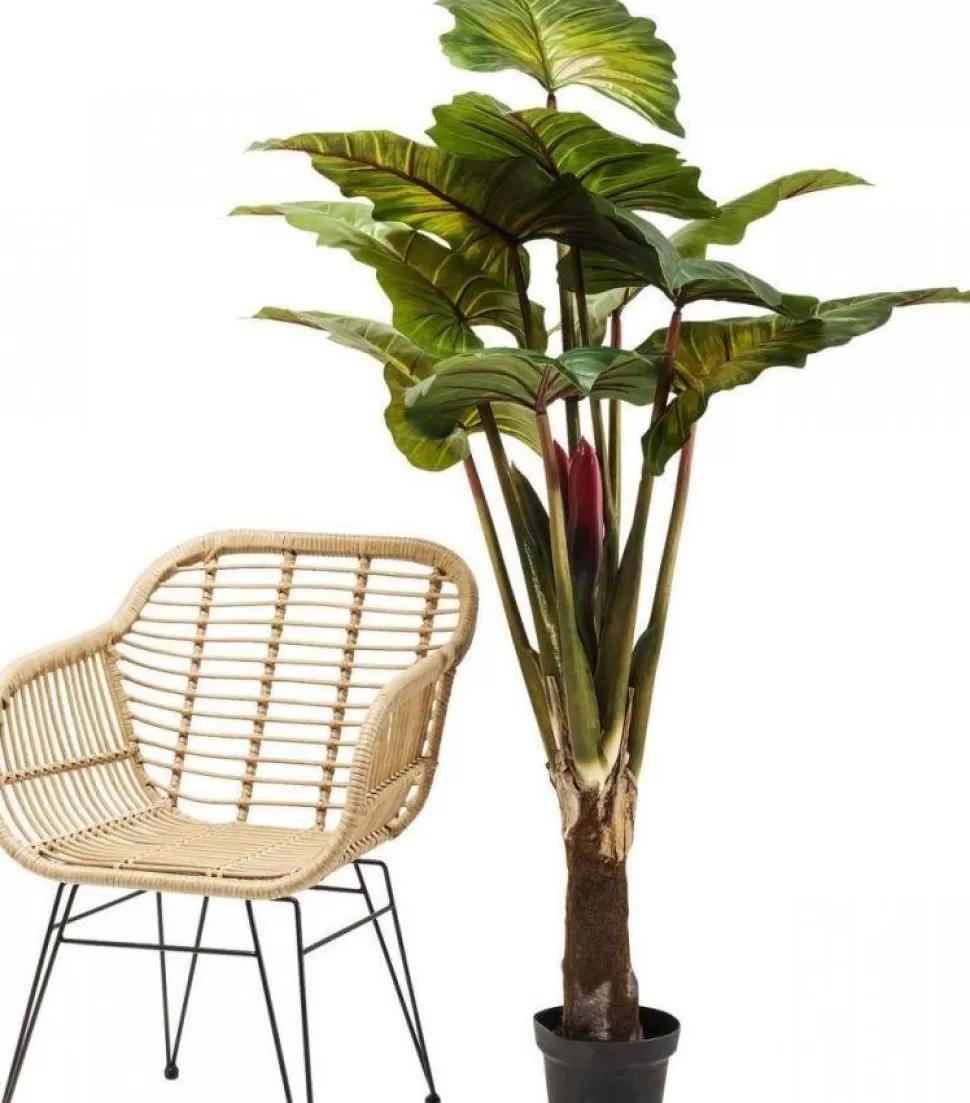 KARE Design Kunstplant Rainforest Groen 160cm Discount
