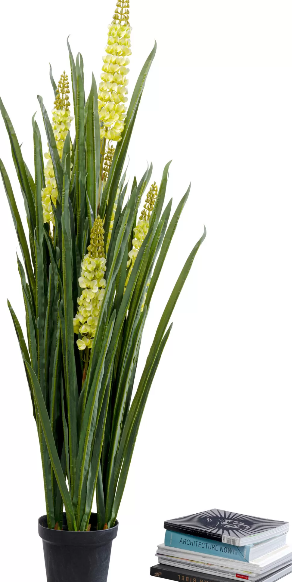 KARE Design Kunstplant Rhynchostylis 150cm Shop