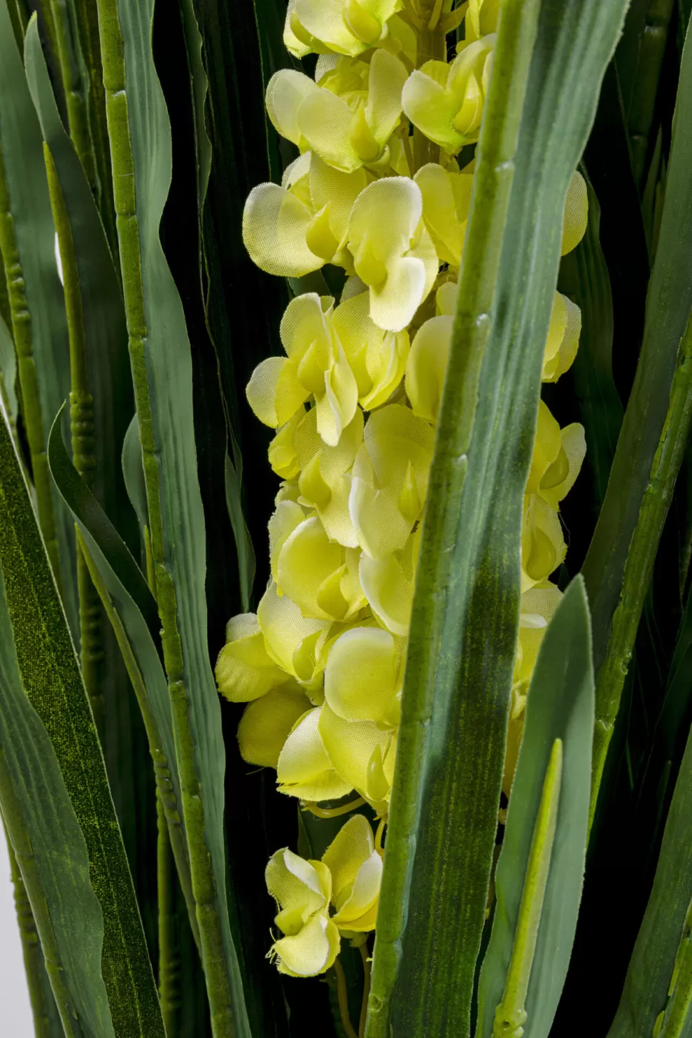 KARE Design Kunstplant Rhynchostylis 150cm Shop