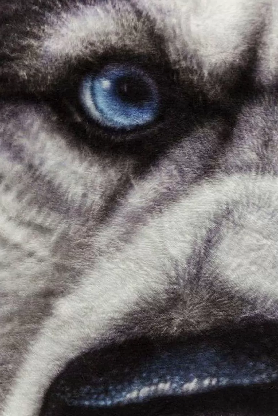 KARE Design Kussen Hond Gezicht Groot Hot